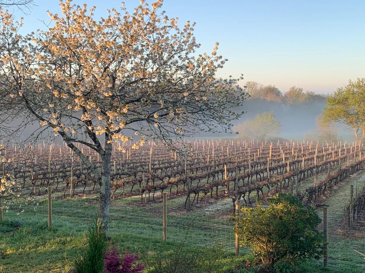 Lauberge De Nogaro Caupenne-d'Armagnac Εξωτερικό φωτογραφία